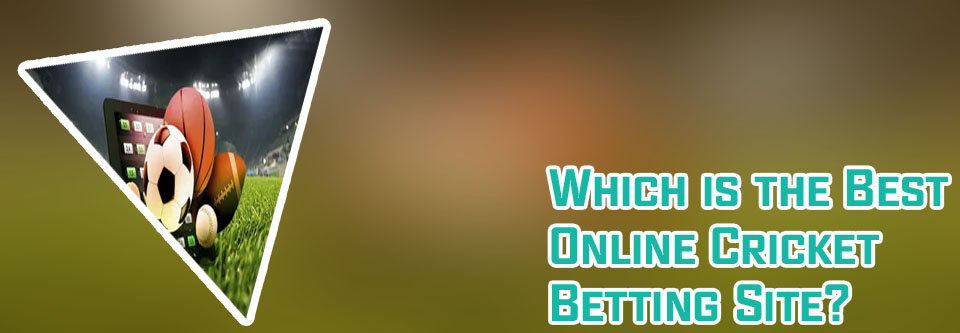 Baji bet online betting site
