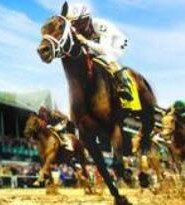 Horse Race Bet