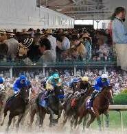 Horse Betting Strategies That Will Help You Win