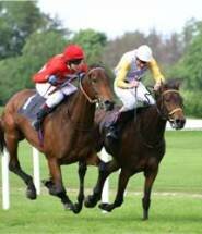 Horse-Racing-Bettting-Now