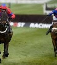 Use-Multiple-Calculator-For-Accurate-Prediction-In-Horse-Races