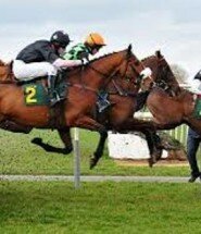 Principals-Of-All-Horse-Bet-Racing-Systems